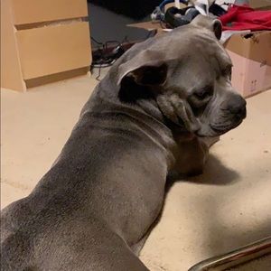 Meet your Posher, Chad